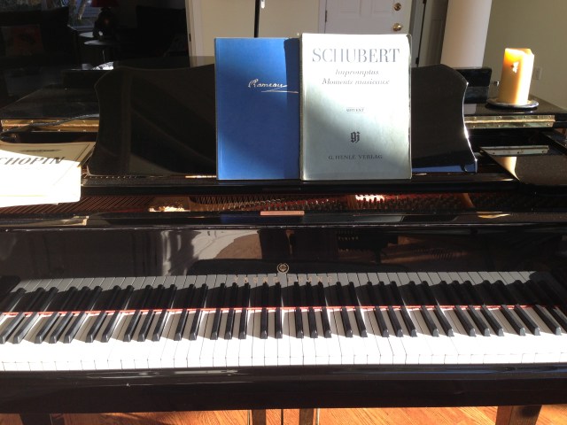 The Siren Song of the Piano